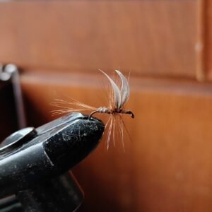 Alternative view of 5 Ginger Quill dry flies