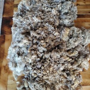 Alternative view of 2-3.5" Wensleydale Teeswater Fleece