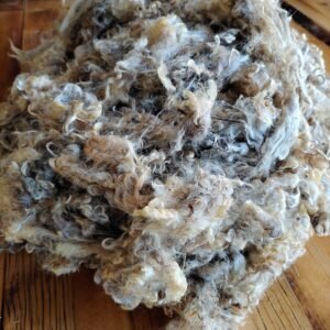 2-3.5" Wensleydale Teeswater Fleece