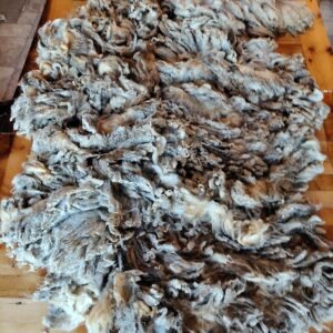5-6" Wensleydale Teeswater Fleece