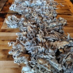 4-5" Wensleydale Teeswater Fleece