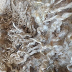 Alternative view of 7.5" Wensleydale Teeswater fleece