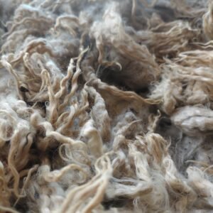 Alternative view of 8" Wensleydale Teeswater fleece