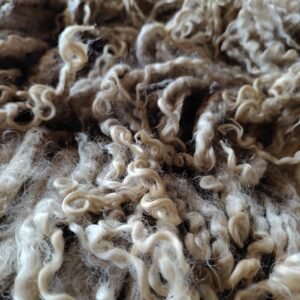 9" Wensleydale Teeswater fleece