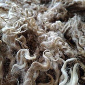 9.5" Wensleydale Teeswater fleece