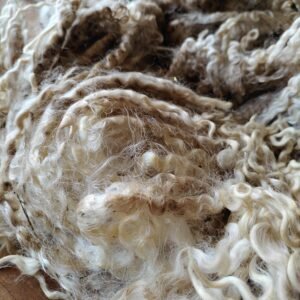Alternative view of 9.5" Wensleydale Teeswater fleece