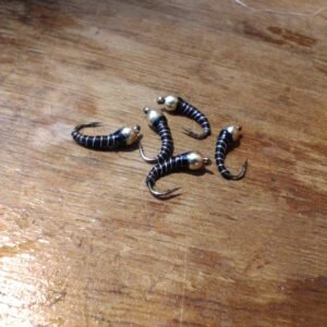 Alternative view of 5 Zebra Midge