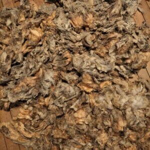 5-6" Wensleydale Teeswater Fleece