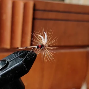 Alternative view of 5 Royal Coachman dry flies