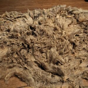 8" Wensleydale/Teeswater fleece