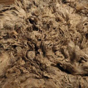 Alternative view of 8" Wensleydale/Teeswater fleece