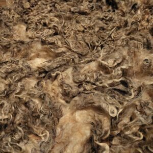 Alternative view of 8" Wensleydale/Teeswater fleece