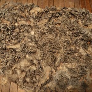 8" Wensleydale/Teeswater fleece