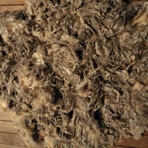 8" Wensleydale/Teeswater fleece