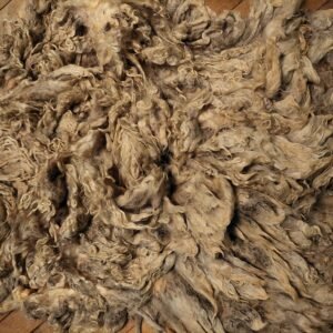 8" Wensleydale/Teeswater fleece