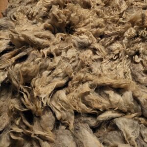 Alternative view of 8" Wensleydale/Teeswater fleece