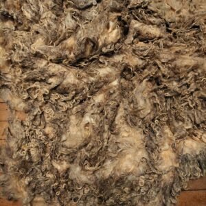 8" Wensleydale/Teeswater fleece