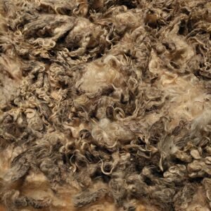 Alternative view of 8" Wensleydale/Teeswater fleece