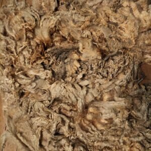 9.5" Wensleydale/Teeswater fleece