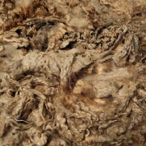 Alternative view of 9.5" Wensleydale/Teeswater fleece