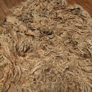 9.5" Wensleydale/Teeswater fleece