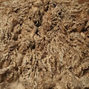 Alternative view of 9.5" Wensleydale/Teeswater fleece