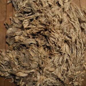 7.5" Wensleydale/Teeswater fleece