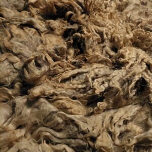 Alternative view of 7.5" Wensleydale/Teeswater fleece
