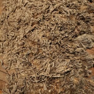 7.5" Wensleydale/Teeswater fleece