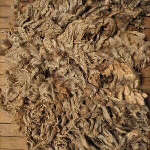 9" Wensleydale/Teeswater fleece
