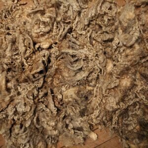 9" Wensleydale/Teeswater fleece