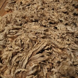 Alternative view of 9" Wensleydale/Teeswater fleece