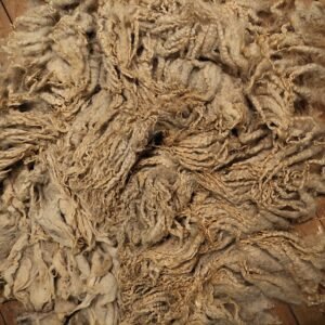 8" Wensleydale/Teeswater fleece