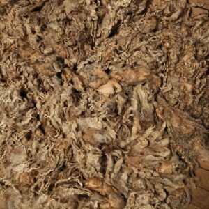 10" Wensleydale/Teeswater fleece