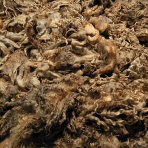 Alternative view of 10" Wensleydale/Teeswater fleece