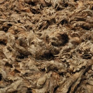 Alternative view of 10" Wensleydale/Teeswater fleece