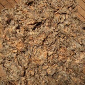 3.5" Wensleydale/Teeswater fleece