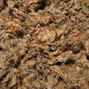 Alternative view of 3.5" Wensleydale/Teeswater fleece