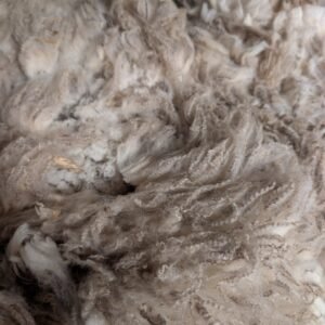 Alternative view of 2lbs Polypay lamb wool