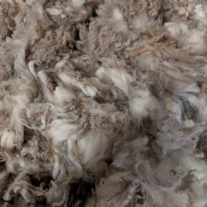 2lbs Polypay lamb wool